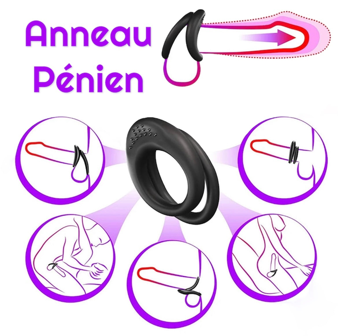 Anneau pénien