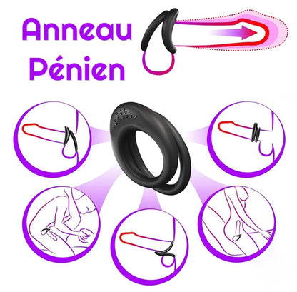 Anneau pénien